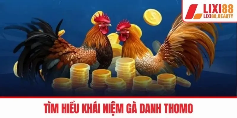 Tìm hiểu khái niệm gà danh thomo